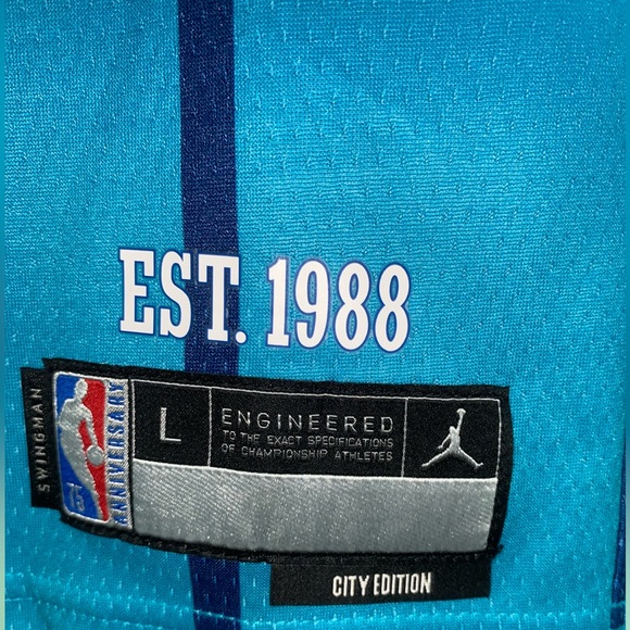 2021-22 Nike NBA Charlotte Hornets LaMelo Ball City Edition Jersey #2 Youth-L - Picture 4 of 5